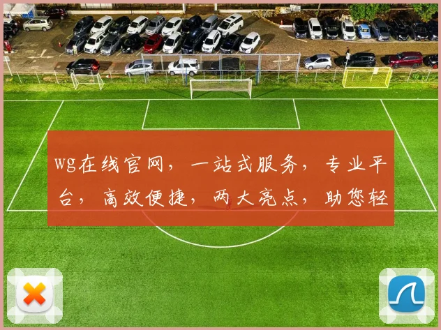 wg在线官网，一站式服务，专业平台，高效便捷，两大亮点，助您轻松掌握