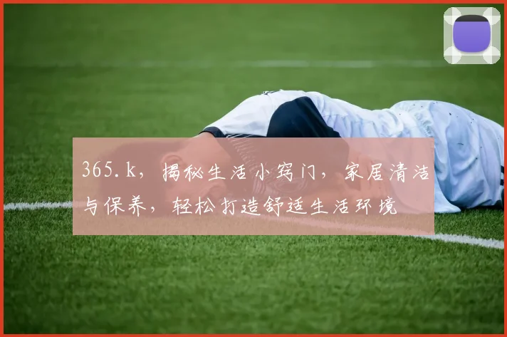 365.k，揭秘生活小窍门，家居清洁与保养，轻松打造舒适生活环境